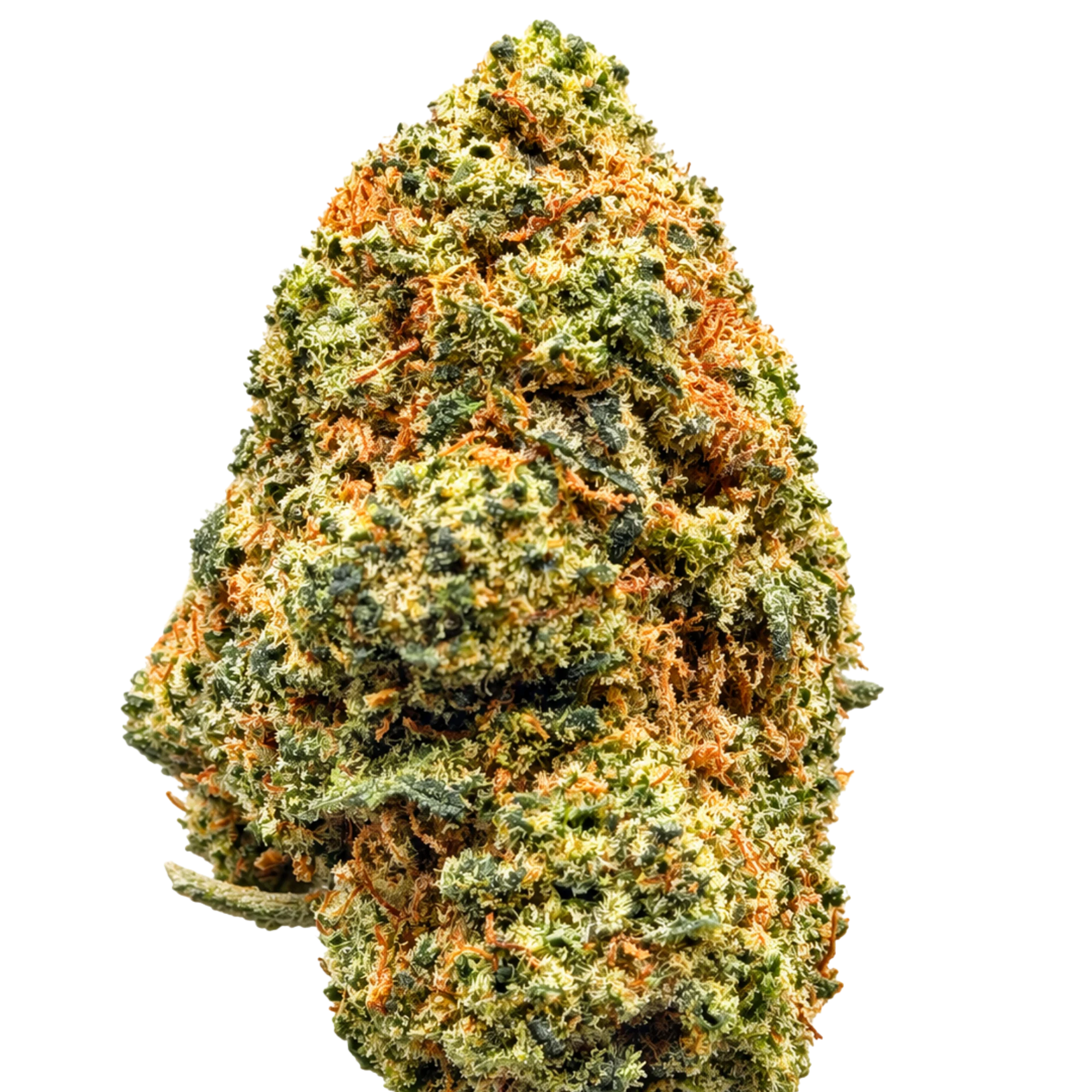 Zeus OG