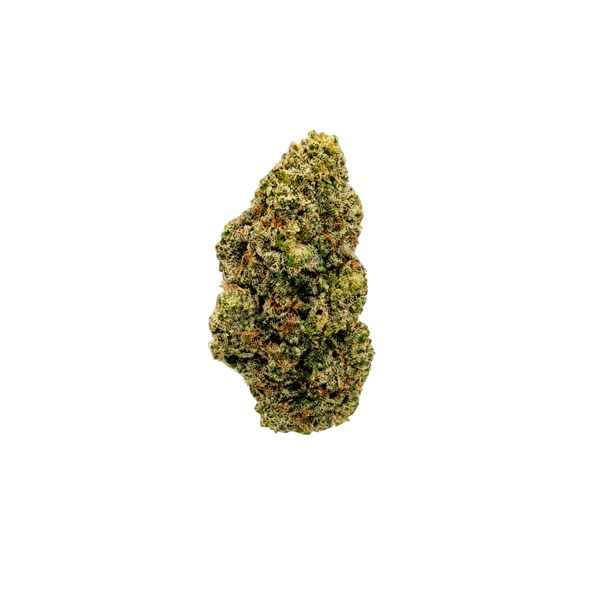 Peach OZ
